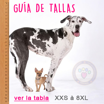 guía de tallas de perros